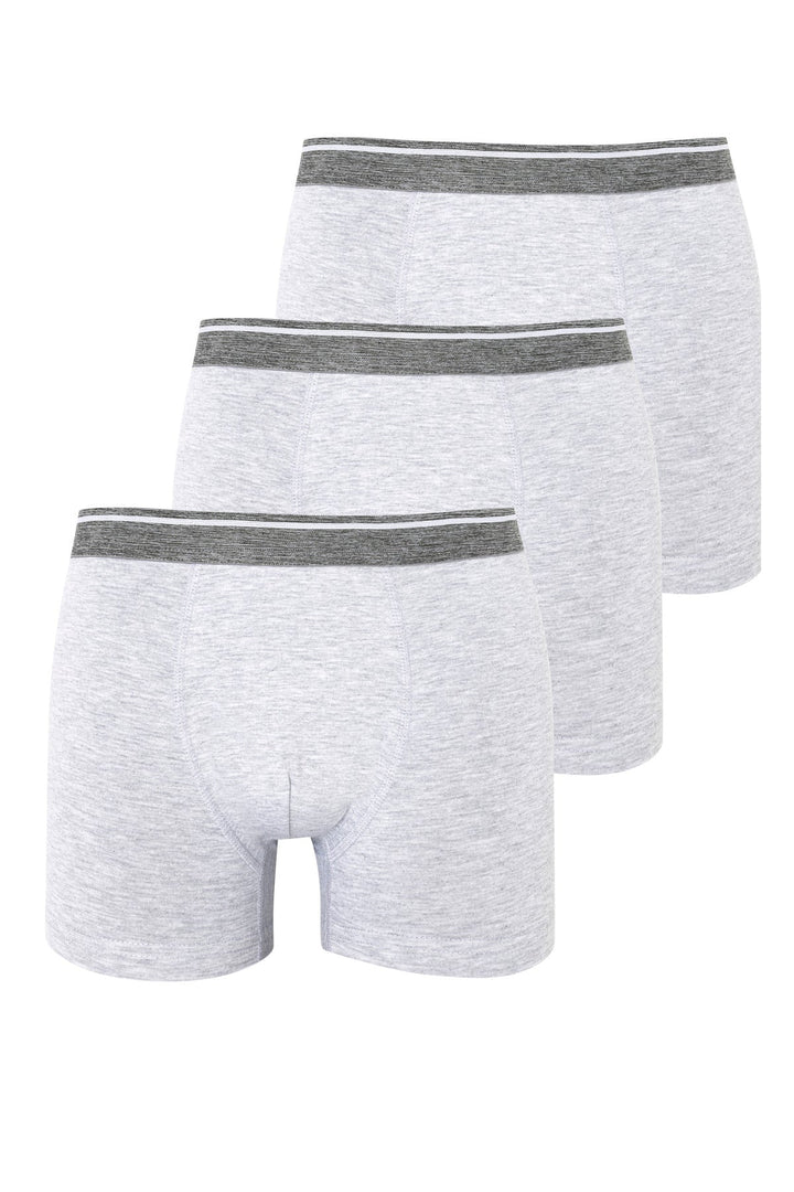 Erkek Boxer Pamuklu Renkli Premium 3'lü Paket - 4000-2 Gri